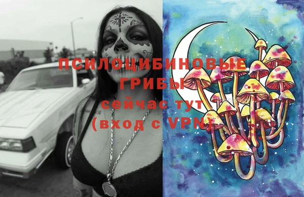 круглые Покачи