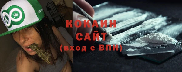 ГАЛЛЮЦИНОГЕННЫЕ ГРИБЫ Вуктыл