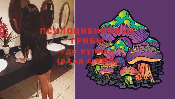 круглые Покачи